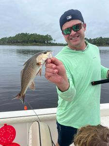 Island Explorer: Carrabelle Charters