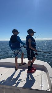 Dolphin Cruise: Carrabelle Adventure