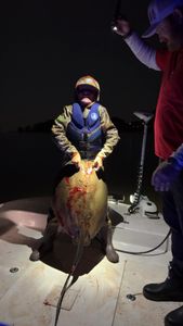 Angler on a boat in Carrabelle, Florida enjoying cruises and fishing activities