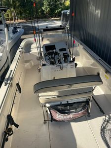 Best cruises and fishing around Carrabelle