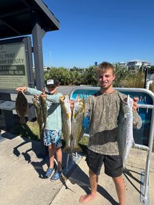 5 Spanish Mackerel and Summer Flounder, a great catch in Carrabelle