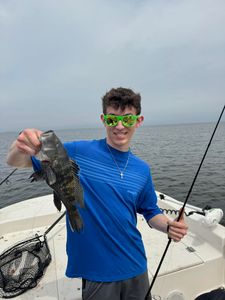 A fisherman catching a sea bass in FL