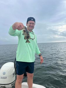 Angler catches a 10-inch Gag Grouper in Carrabelle