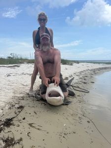 Sandbar shark caught during fishing cruise in Florida