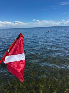 Scenic cruises and fishing in FL
