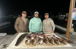 Successful alligator gar fishing trip displaying multiple large fish on cleaning table at marina in Lafitte Louisiana