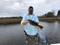 Black Seabass fishing