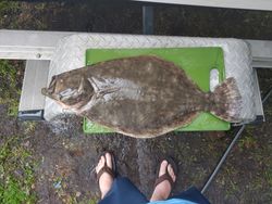 Morning bite in Charleston Harbor