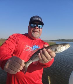 Spotted weakfish caught while fishing in Charleston
