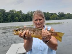 Freshwater Fishing in Cotter, AR