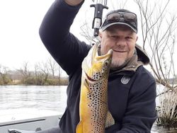 Fishing for Brown Trout in Cotter, AR
