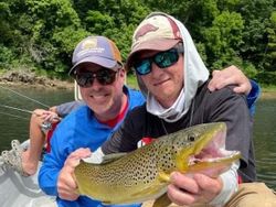 Brown Trout in White River