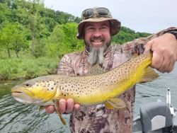 Beautiful Trout from White River