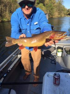 Cotter, AR Fishing for Trout