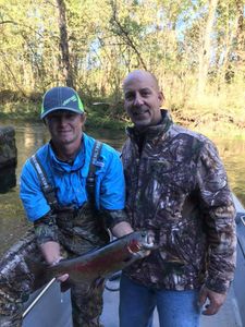 Excellent Day of Fishing in Cotter, AR