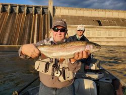 Brown Trout in White River