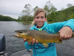 Brown Trout in White River