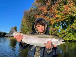 Nice Rainbow Trout in White River