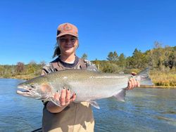 Coho salmon caught by angler in Cotter