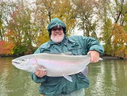 1 angler fishing in Cotter