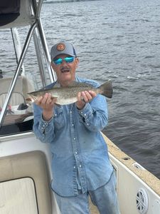 Solid! Nice speckled trout from open water.
