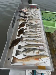 Loaded! Trout, reds, flounder, and more.