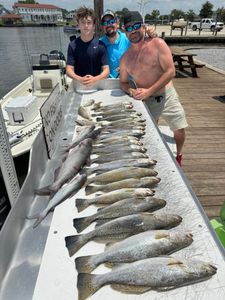 Epic! Heavy trout haul with bonus cats.