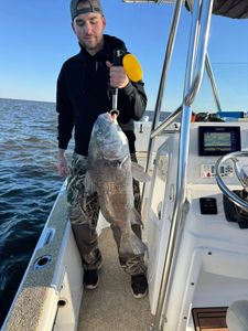 Fisherman catching a black drum in Slidell