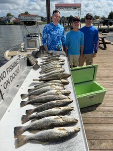 Four spotted weakfish caught in LA