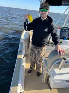 Redfish caught while fishing in LA