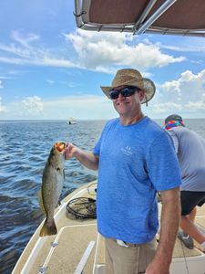 Spotted Weakfish caught fishing in Slidell
