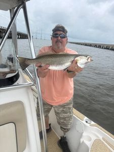 Spotted Weakfish, 23-inch fish, fishing in LA