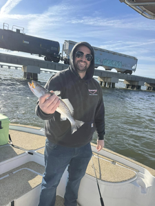 Spotted Weakfish, 9-inch fish caught while fishing in Slidell