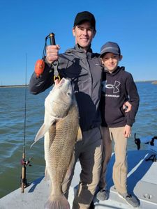 Photo of a 31-inch Black Drum fish caught while fishing in Port Aransas