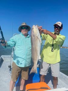 Redfish hooked in Port Aransas TX!