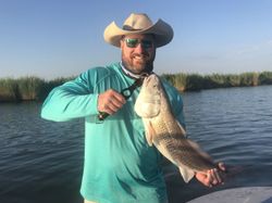 Photograph of a 16-inch redfish caught while fishing in TX
