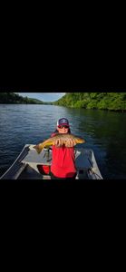 Tight lines on the White River.
