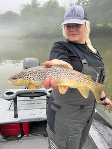 Calm waters and steady bites.