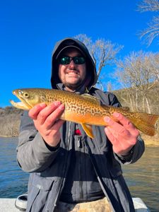 The fish are biting today.