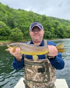 Trout Fishing Delight: Cotter, AR