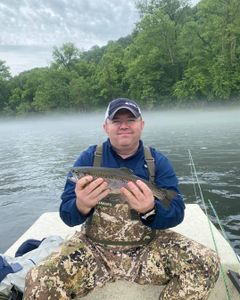Cotter's Trout Bounty 