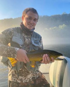 Casting for Cotter's Gold