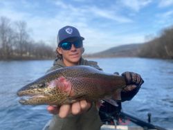 Explore Trout Fishing Bliss