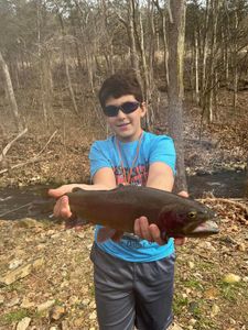 Cotter, AR Trout Treasures