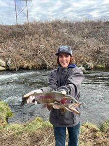 Trout Tales in Arkansas