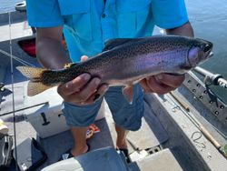 Cotter's Finest Trout Moments