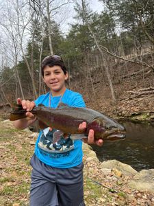Rainbow Trout Fishing Arkansas