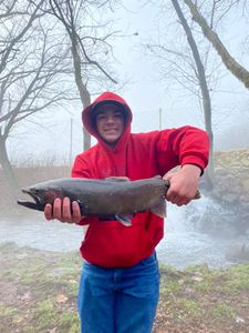 Trout Fishing Adventures in Cotter
