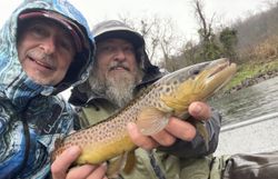 Two people fishing in Cotter