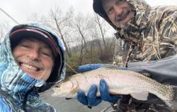 Anglers reeling in a beautiful rainbow trout in Cotter